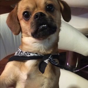 Meet your Posher, Debra